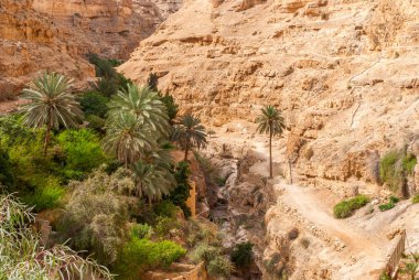 Wadi Qelt Judean Desert St. George Ortodoks Manastırı