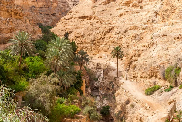 Wadi Qelt dans le désert de Judée autour du monastère orthodoxe Saint-Georges — Photo