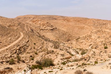 Necef Çölü dağlarda