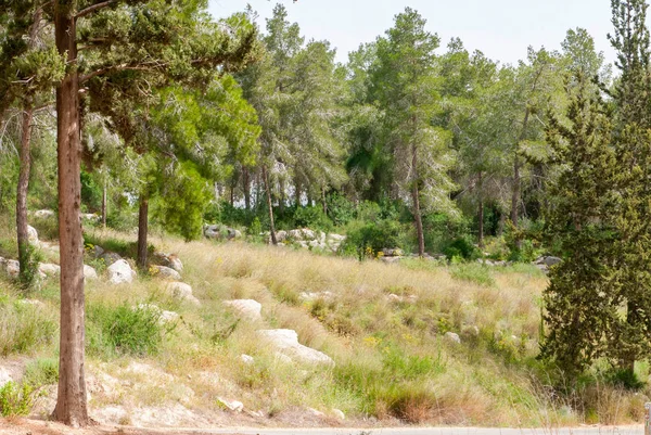 İncil'deki manzara Hadid görüntülemek.