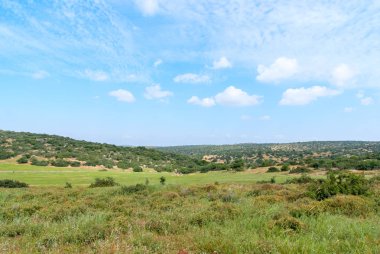 Musevi Hills yakınındaki Beit Prestatyn
