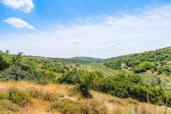Judean Hills near Beit Shemesh — Stock Photo, Image