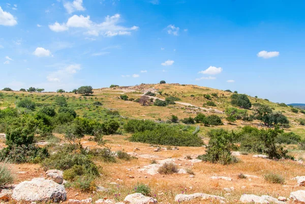 Judean Hills near Beit Shemesh — Stock Photo, Image