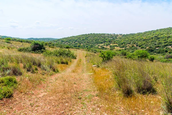 Judean Hills in de buurt van Beit Shemesh — Stockfoto