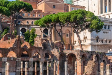 Roma forumunun Roma, İtalya 'daki antik kalıntıları.