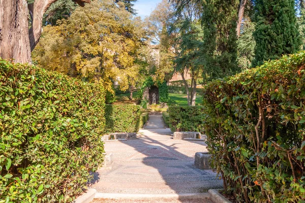 Famous Italian Renaissance garden. Tivoli Gardens. Parks and tre — Stock Photo, Image