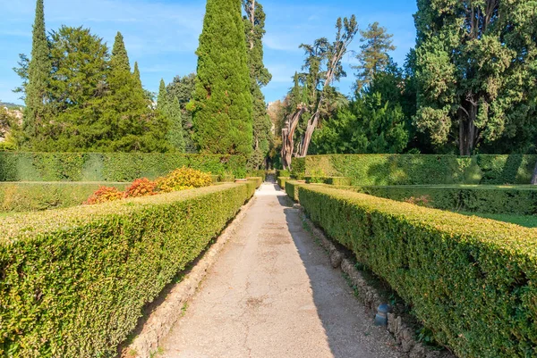 Famous Italian Renaissance garden. Tivoli Gardens. Parks and tre — 스톡 사진