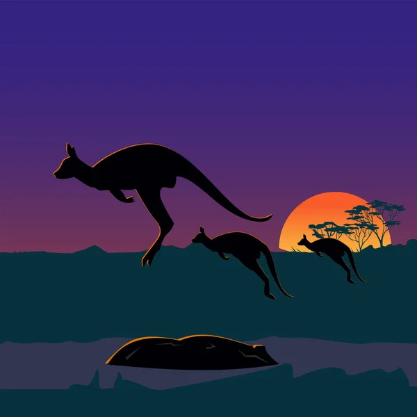 Drie Grote Kangoeroes Australische Vlaktes Wilde Natuur Van Australië Realistisch — Stockvector