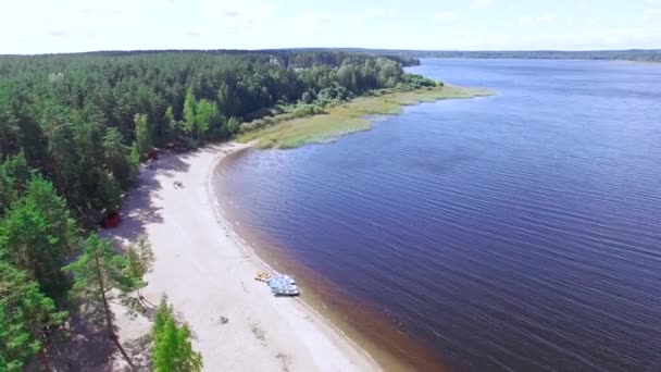 Lake beach forest Стоковое Видео