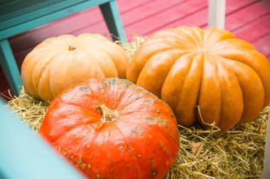 saman üzerinde büyük olgun kabaklar 