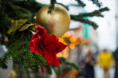 altın top ve kırmızı bir çiçek ile dekore edilmiş bir Noel ağacının dalını