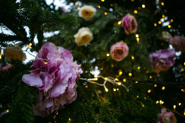 圣诞树的枝条 装饰着人造玫瑰 — 图库照片