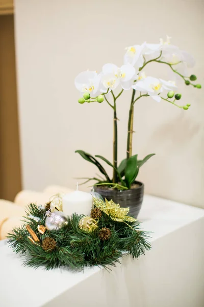 Біла Орхідея Столі — стокове фото