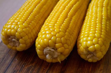 Sıcak Ağustos Mısır