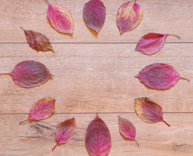 Kırmızı düşen yapraklar sonbaharda saatinde 