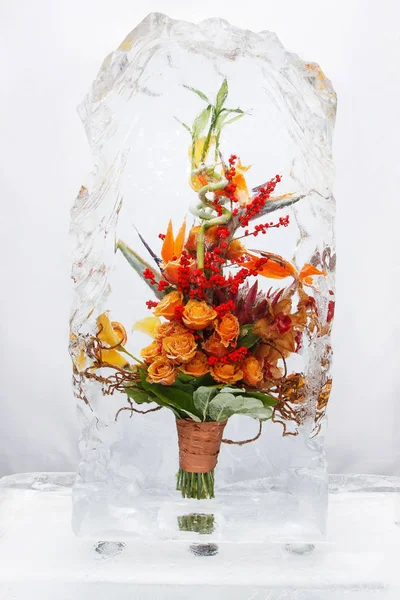 Cold winter compositions of flowers in ice