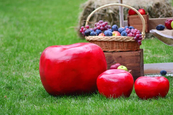 Натюрморт спелых осенних фруктов в саду и с большими красными яблоками на переднем плане — стоковое фото