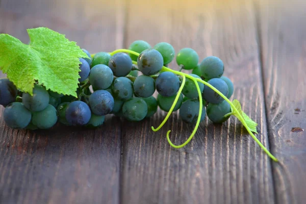 A bunch of a young grapes lies on a wood blackboard. — Stock Photo, Image