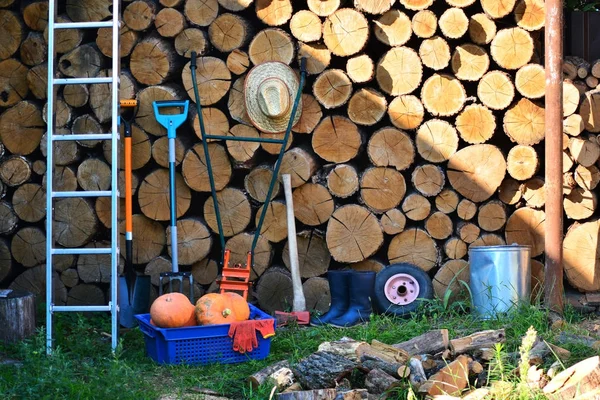 Rural tool in the garden. Rural equipment and autumn harvest. — Stock Photo, Image