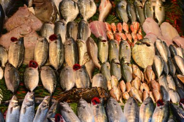 Taze ve doğal balık pazarı