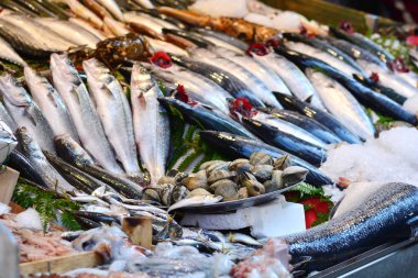 Taze ve doğal balık pazarı