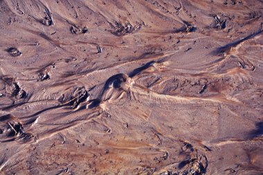 Yeşil yosun doku doku