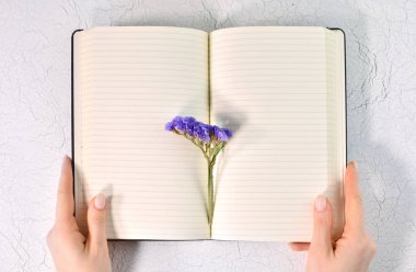 Boş beyaz bir not defteri ve güzel mor bir çiçek. Mesajınız ya da mesajınız için beyaz kağıtlar. Boşluğu kopyala.