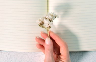 Bahar ya da yaz havası konsepti. Güzel beyaz çiçek kadınların elinde, boş not defterinde.