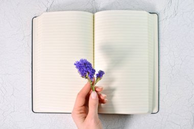 Bahar ya da yaz havası konsepti. Güzel mor çiçek, kadınların elinde, boş not defterinde.