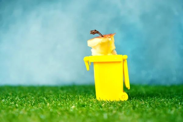 Ayuda Mantener Naturaleza Limpia Ordenada Después Del Picnic Concepto Fondo —  Fotos de Stock