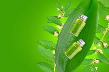 Doğal bitkisel kozmetikler ve gerekli yağ bileşenleri. Yeşil yaprağın üzerinde bitkisel özü olan şişeler. Boşluğu kopyala.