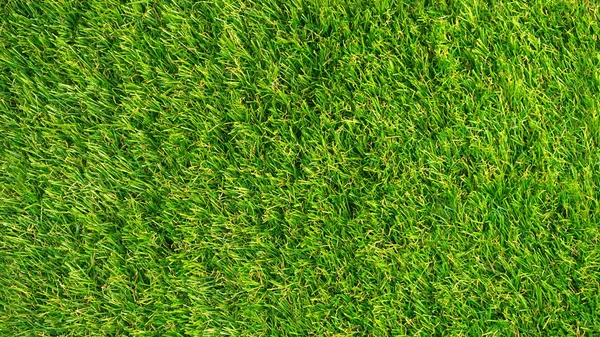 Artificial Grass Background Synthetic Turf Texture Top View — 스톡 사진