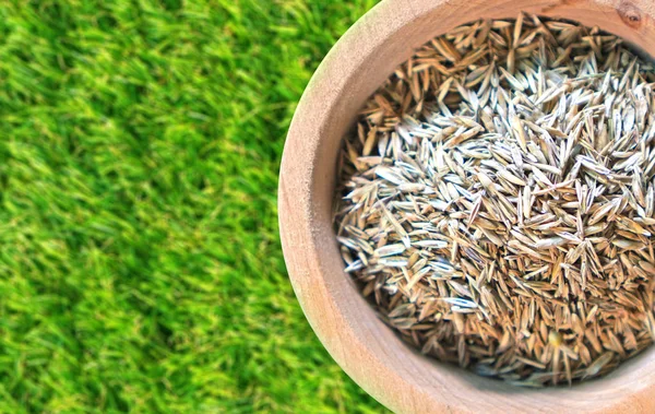 Kopya alanı olan çimen tohumları arkaplanı