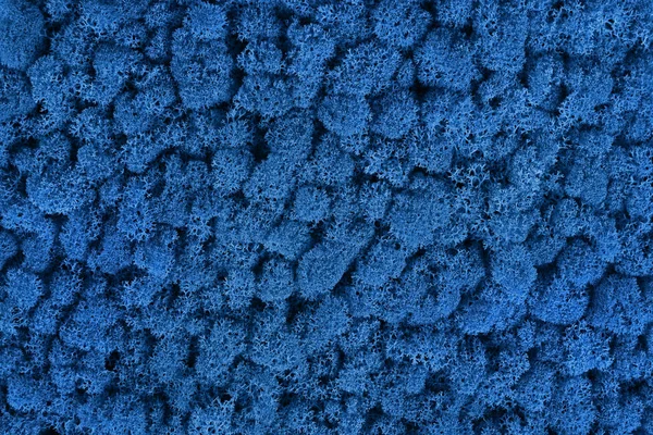 Κλασσικό Μπλε Χρώμα Βρύα Υφή 2020 Τάση Χρώμα Του Έτους — Φωτογραφία Αρχείου