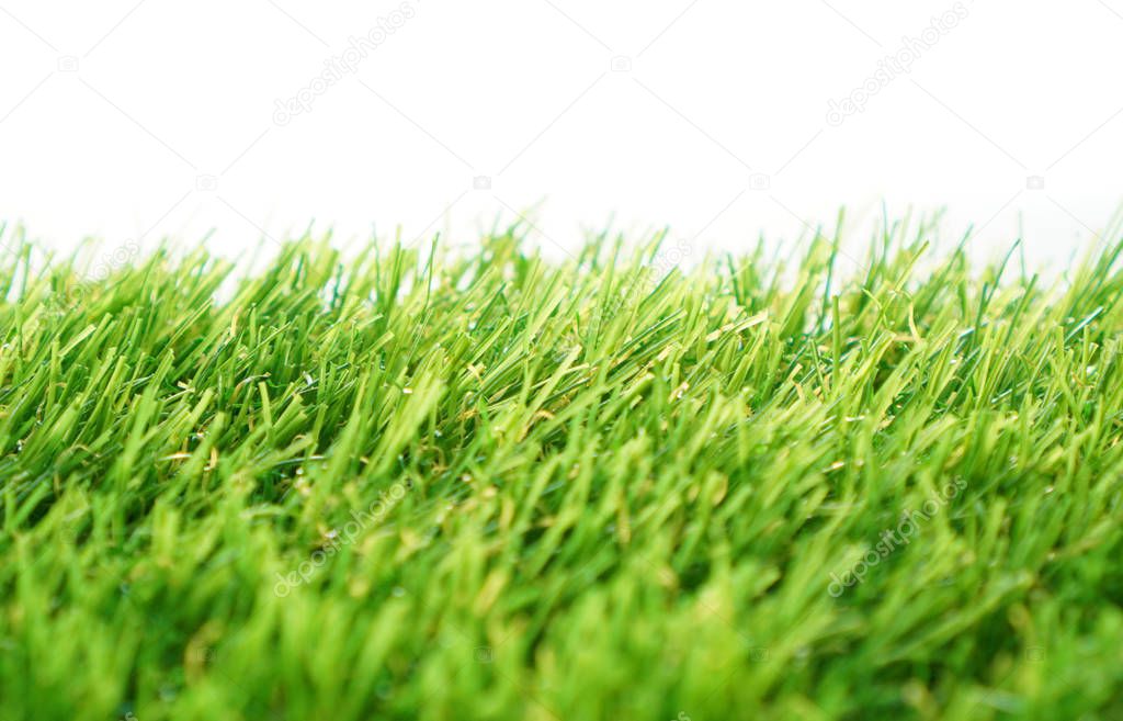 Evergreen artificial grass close-up on a white background