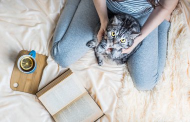 Sahiplerinin bacaklarında şirin çizgili İngiliz kedisi. Kitap okurken ve çay içerken evcil hayvanıyla yatakta dinlenen bir kadın. Yukarıya bak. Sıcak ev atmosferi. Kitaptaki metin tanınabilir değil.