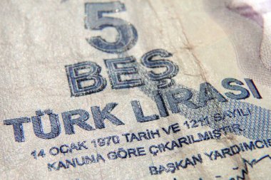 Türk banknotu. Beş TL Türk lirası makro fotoğraf
