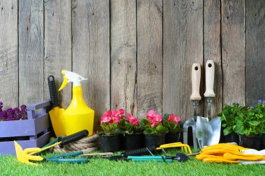 Tencerelerde bahar çiçekleri, minyatür bahçe aletleri, kopyalama alanı