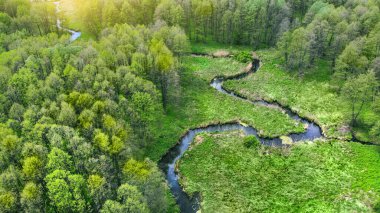 Havadan. Ormanda dolambaçlı bir nehir. İHA 'dan yukarıya bak. Güzel bahar doğası