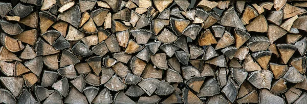 Wood logs background texture. — Stock Photo, Image