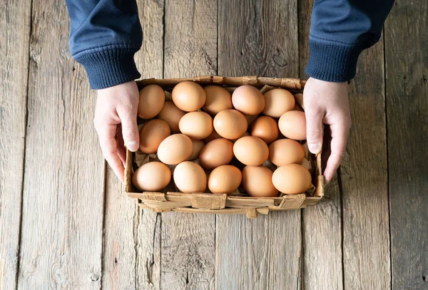 Farm fresh chicken eggs in a farmer hands. — Stock Photo, Image