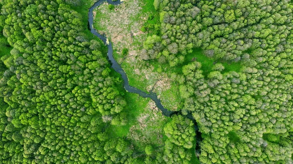 Antenne. Fluss im Wald. Blick nach oben — Stockfoto