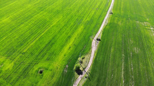 Feldweg mit Strommasten zwischen zwei grünen Feldern. Draufsicht von der Drohne — Stockfoto