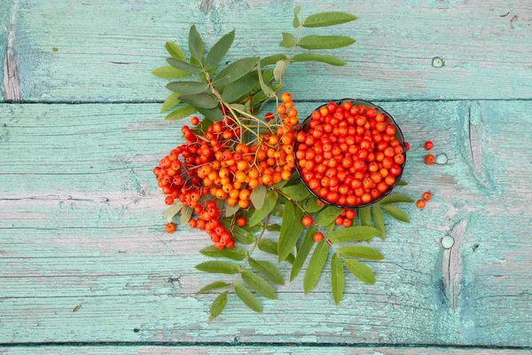 Red Rowan berries on a wooden table surface — Stock Photo, Image