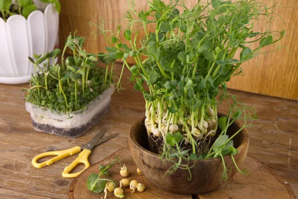 Verse Groenten Erwten Kiemen Jonge Gezonde Voeding Vitamine Dieet — Stockfoto