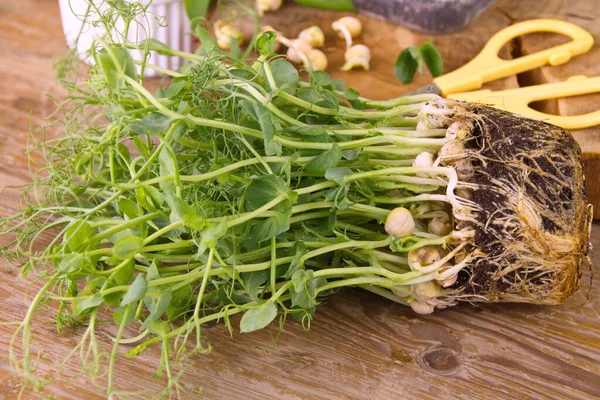 新鮮な緑 エンドウ豆の芽若い健康的な食品ビタミンの食事 ストック写真
