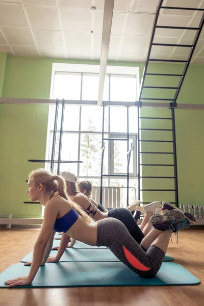 Groupe d'amis ou de sportifs faisant de l'exercice à l'intérieur — Photo