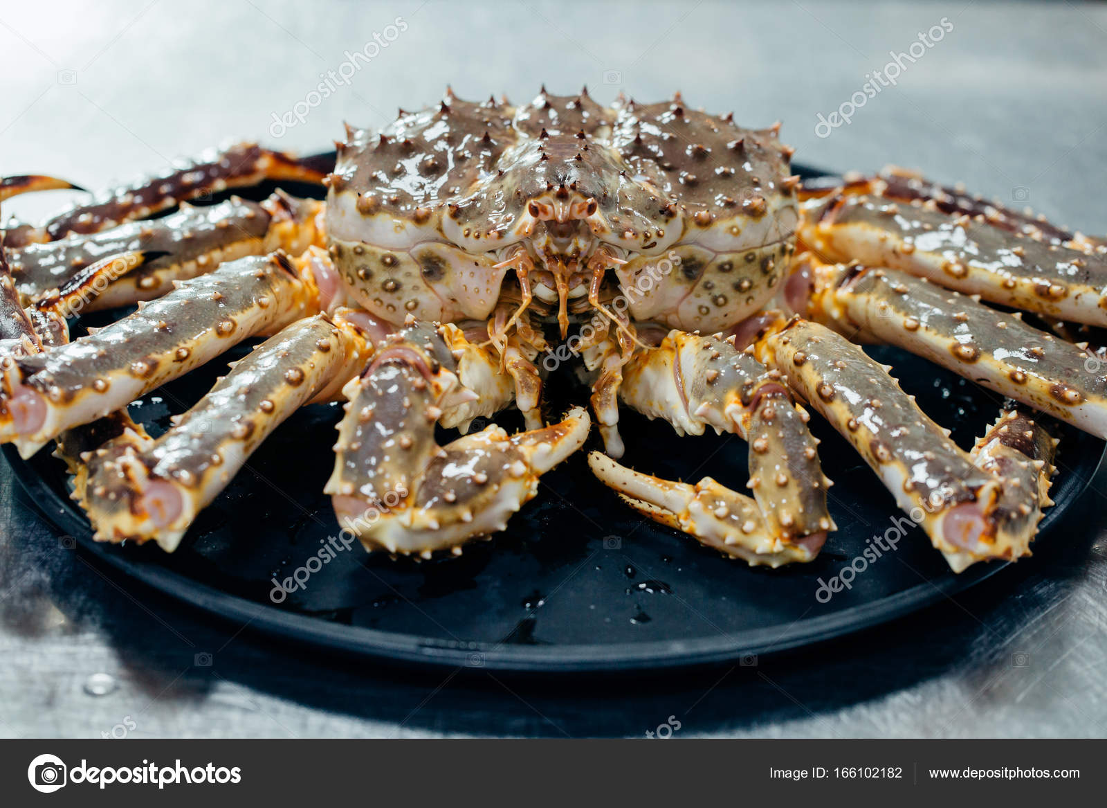 海鮮カニとエビのある静物 ストック写真 C Ufabizphoto