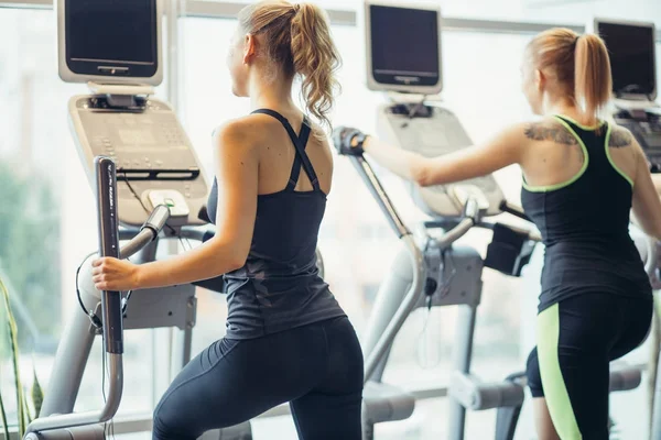 Erkek spor salonunda antrenör makinelerde egzersiz.