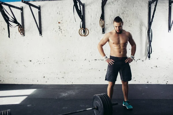 Halter eğitim salonunda hazırlama adam uygun